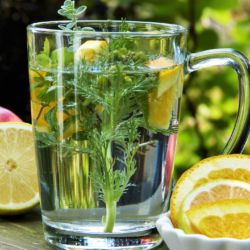 Phytothérapie Aromathérapie